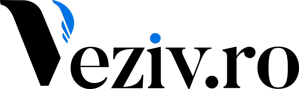 Logo Black - Veziv.ro, dezvolta un Crm, Erp sau o aplicație mobilă